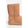 UGG Classic Short II 1016223 | Bottes Polyvalentes